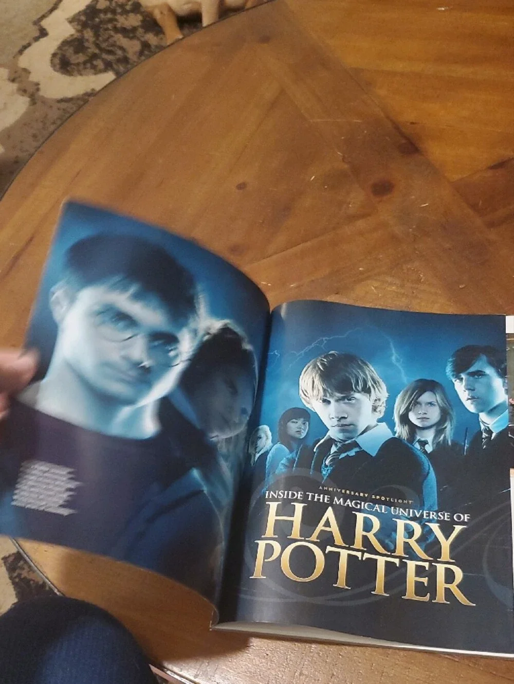 Warner Bros. Harry Potter Illustrated Guide Book - Blue and Gold